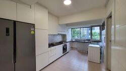 Dunearn Road (D11), Condominium #523846361